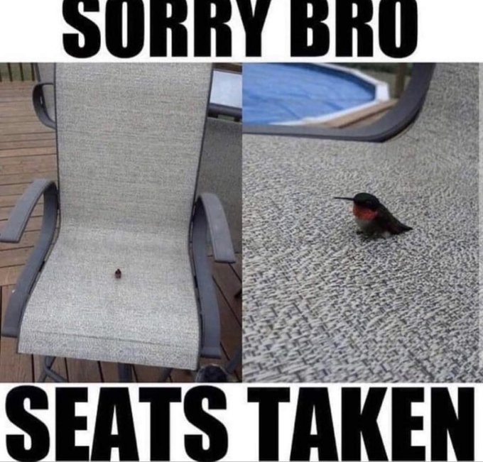 Meme Sorry bro seat's taken