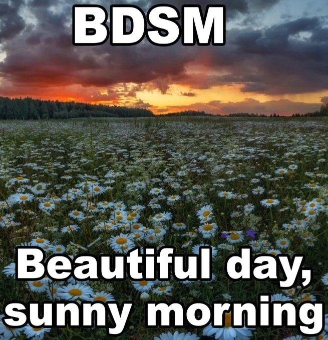 Meme Beautiful Day Sunny Morning