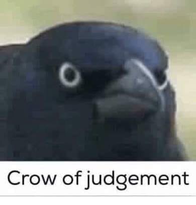 Meme Crow of judgement