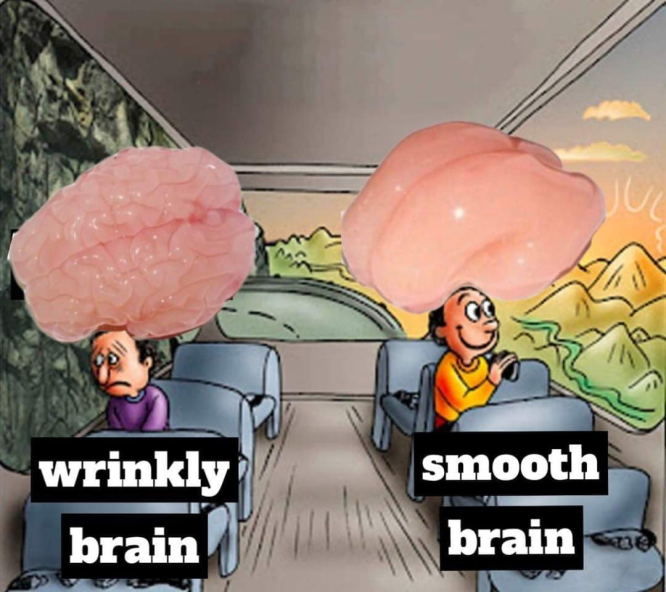 Meme Wrinkly brain - Smooth brain