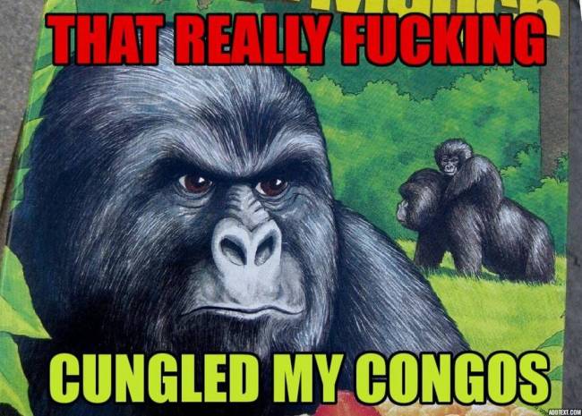 That really fucking cungled my congos