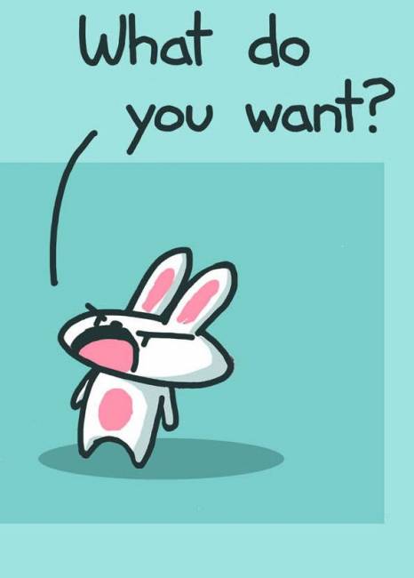 What do you want?