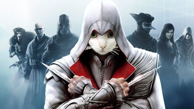 Meme Assassin's Creed Cat