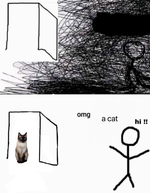 Meme OMG a cat hi