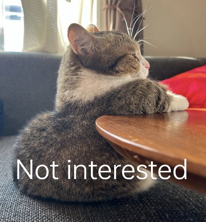 Meme Not interested - Cat