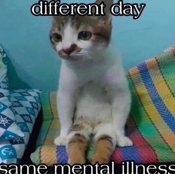 Meme different day - same mental illness