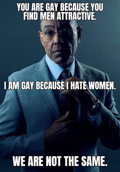 Meme You are gay because you find men attractive - I am gay because I hate women - We are not the same