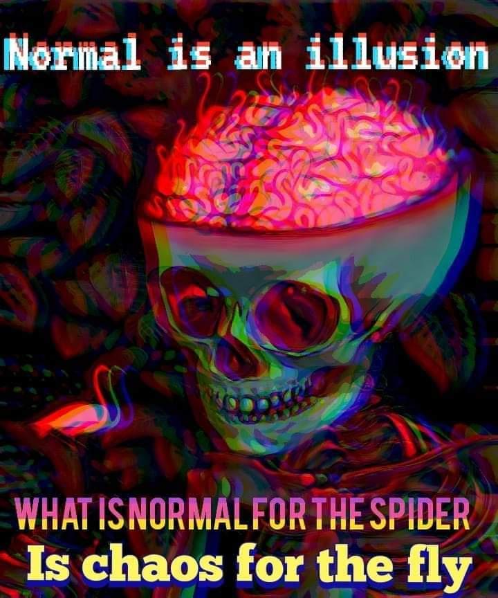 Meme Normal is an illusion