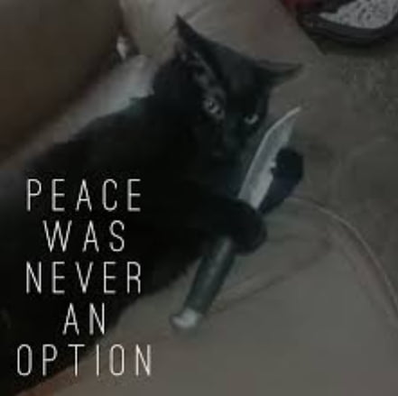 Meme Peace was never an option