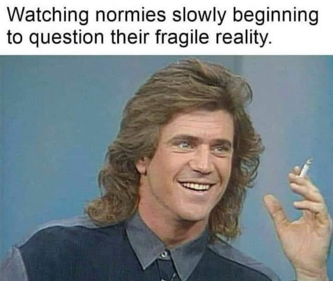 Meme Watching normies slowly beginnig to question their fragile reality