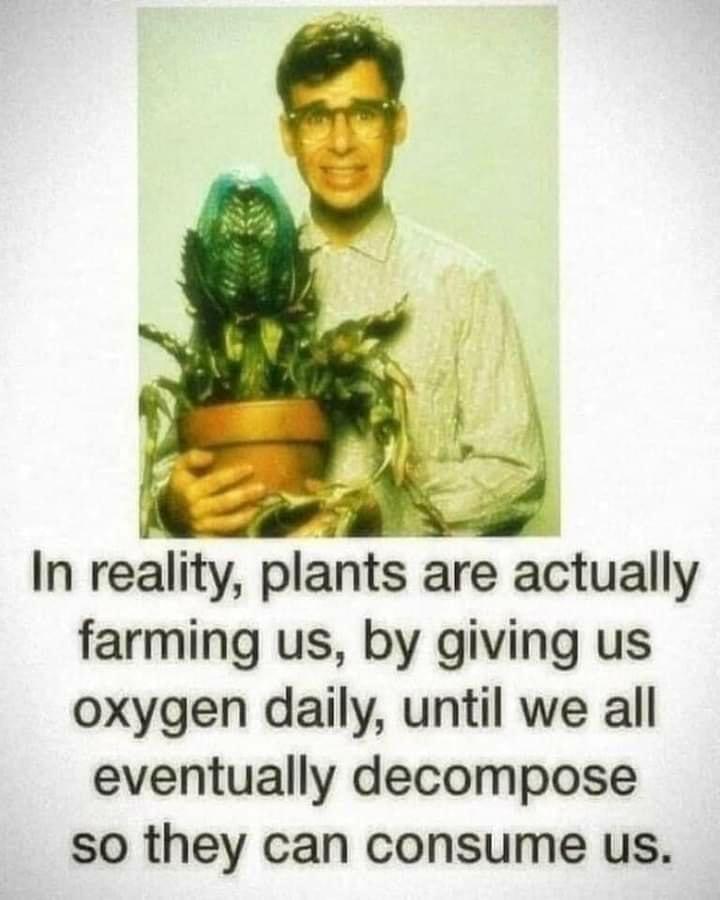 Meme Plants are actually farming us