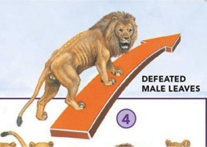 Meme Defeated male leaves