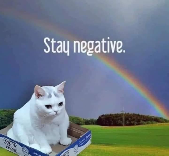 Meme Stay negative