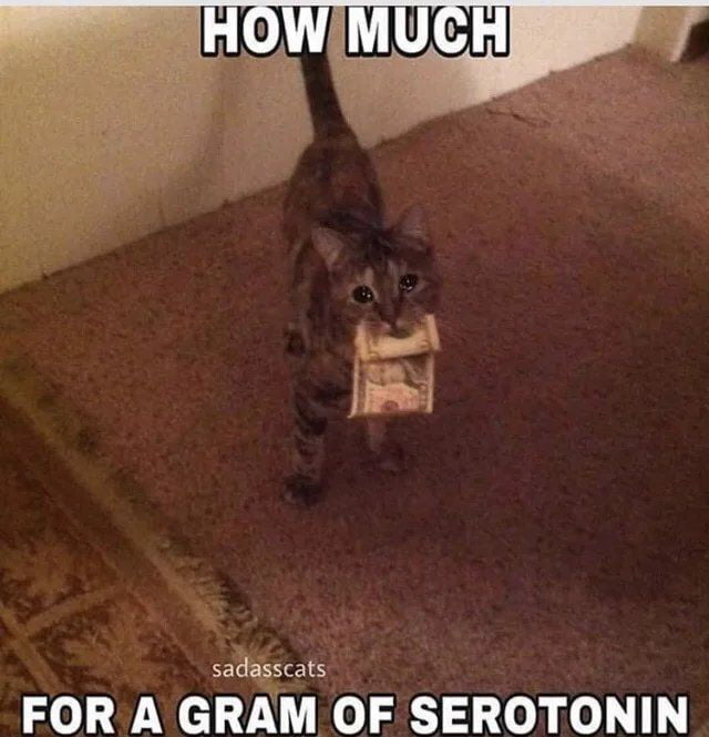 Meme How much for a gram of serotonin