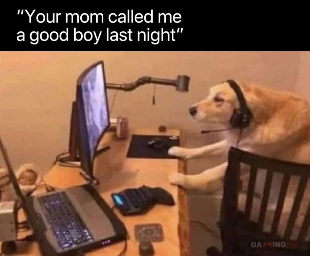 Meme Your mom called me good boy last night