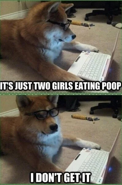 Meme It's just two girls eating poop - I don't get it