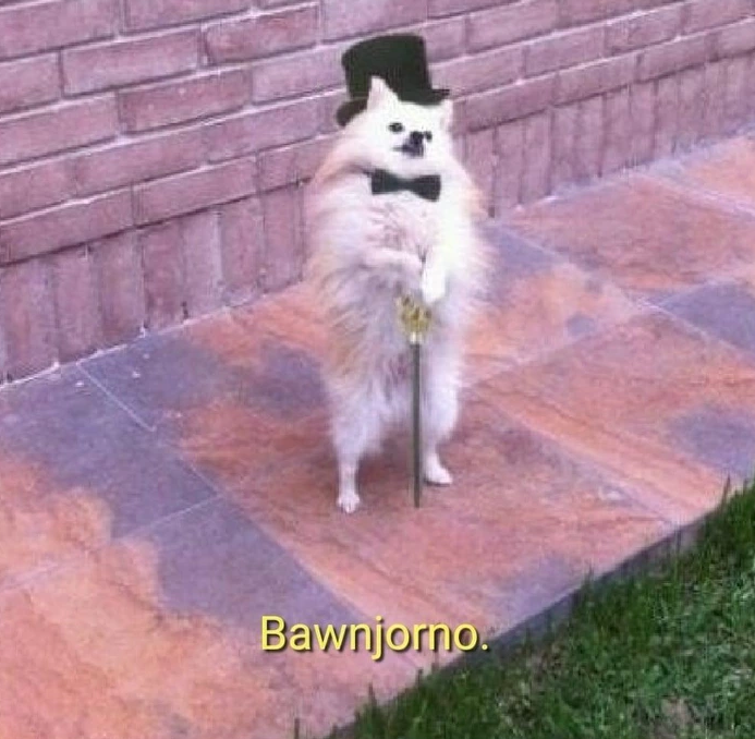 Meme Bawnjorno - Dog