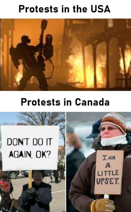 Meme Protests in Canada