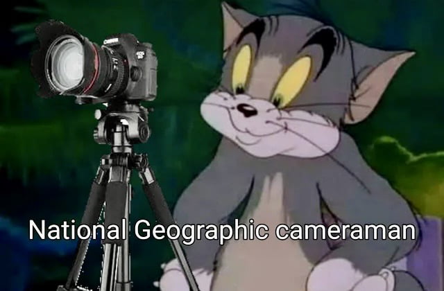 Meme National Geographic Cameraman