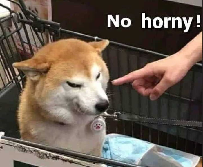 Meme No horny!