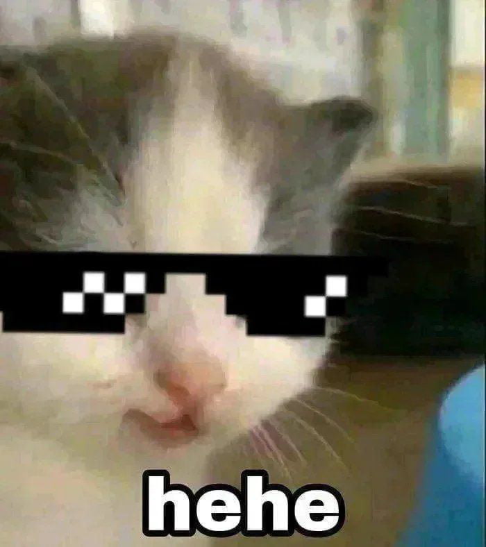 Meme Hehe Cool Kitten