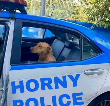 Meme Horny Police