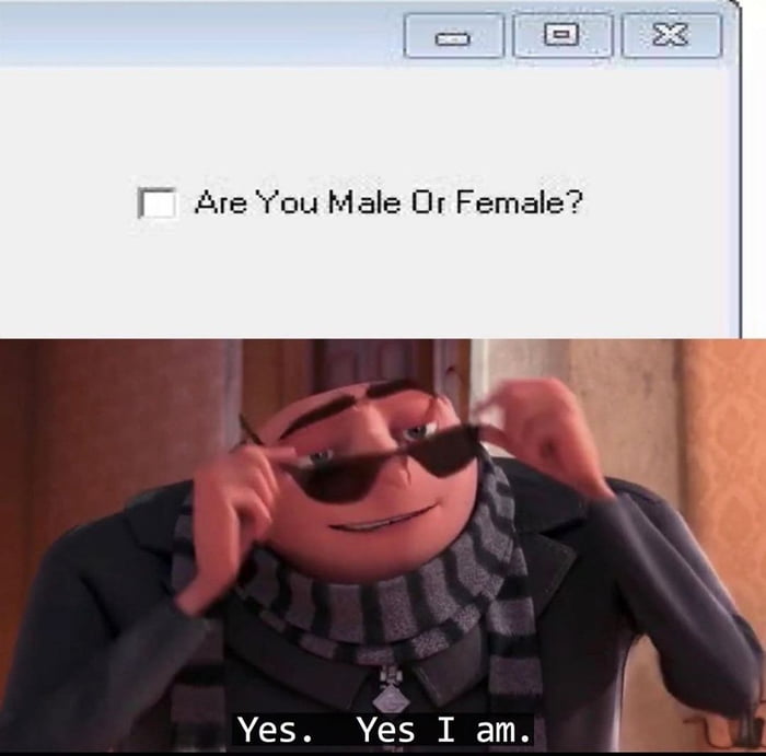 Meme Are you male or female? - Yes I am