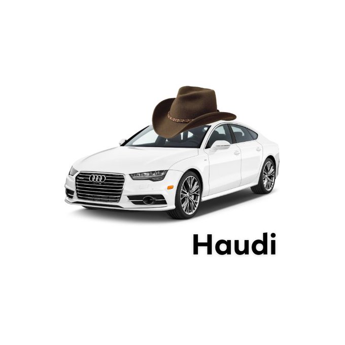 Meme Haudi