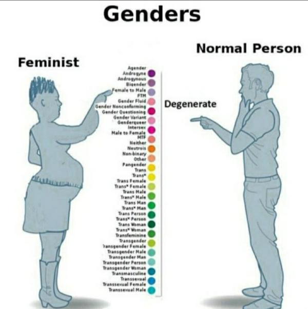 Meme Genders - Normal Person - Feminists