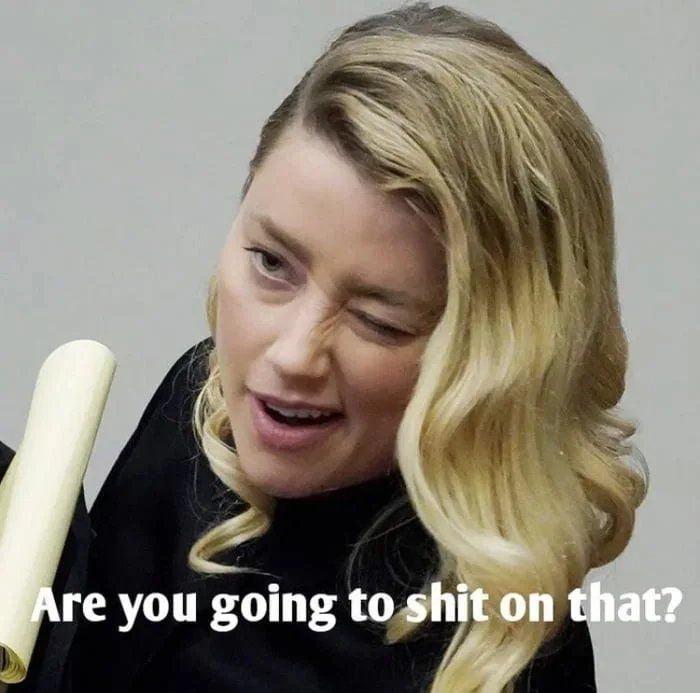 Meme Are you going to shit on that? - Amber Heard