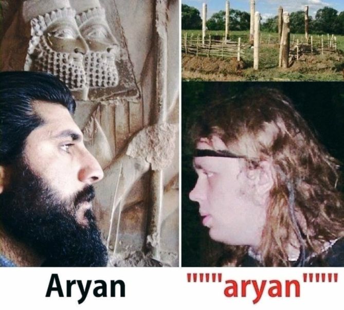 Meme Aryan