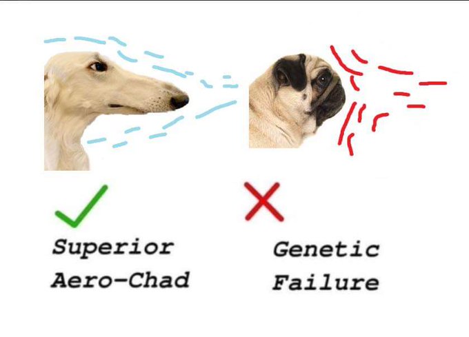 Meme Superior Aero-Chad - Genetic Failure