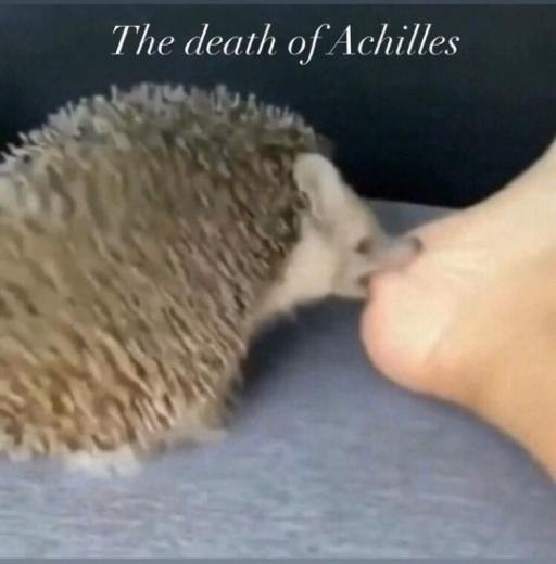 Meme The death of Achilles