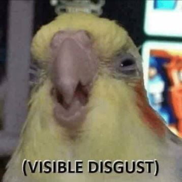 Meme visible disgust parrot