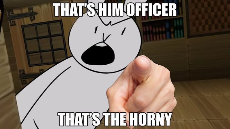 Meme that's him officer - that's the horny