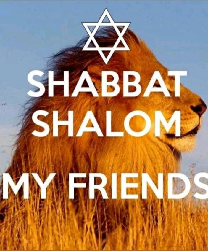 Meme Shabbat Shalom My Friends