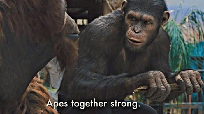 Meme Apes together strong