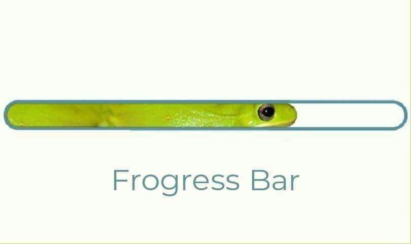 Meme frogress bar