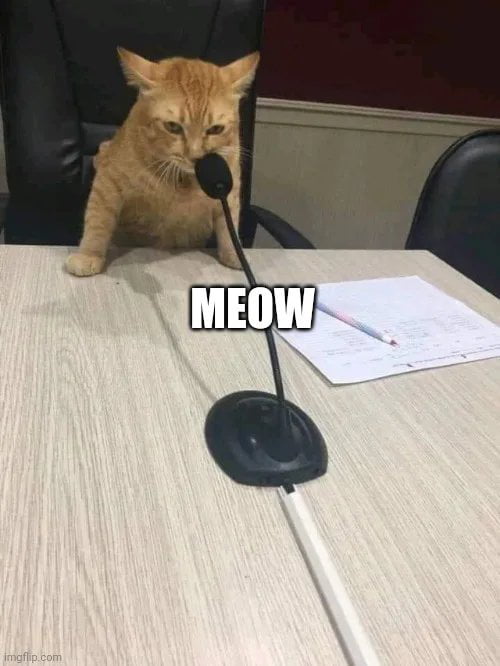 Meme Meow Cat