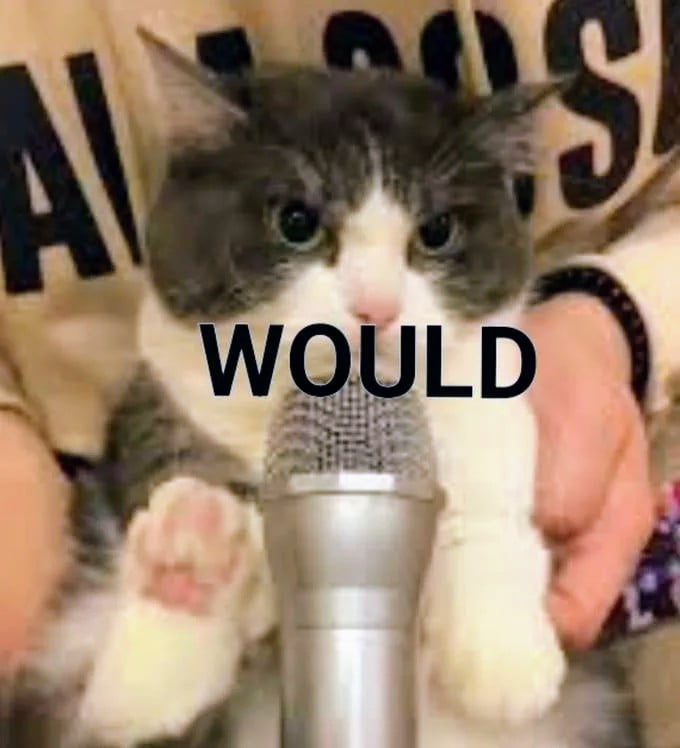 Meme Would Cat Microphone