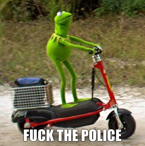 Meme Fuck The Police - Kermit the frog