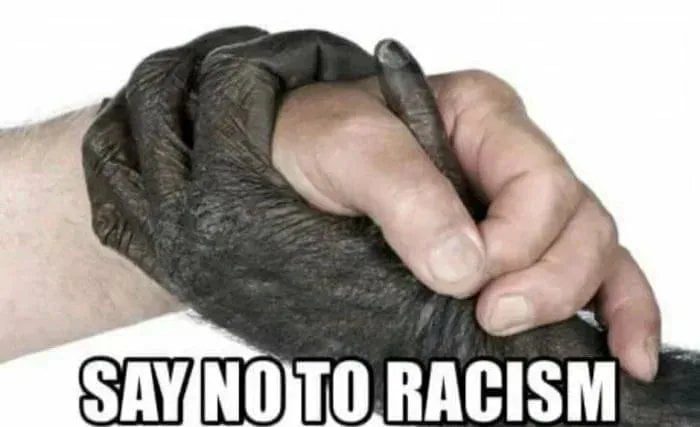 Meme say no to racism