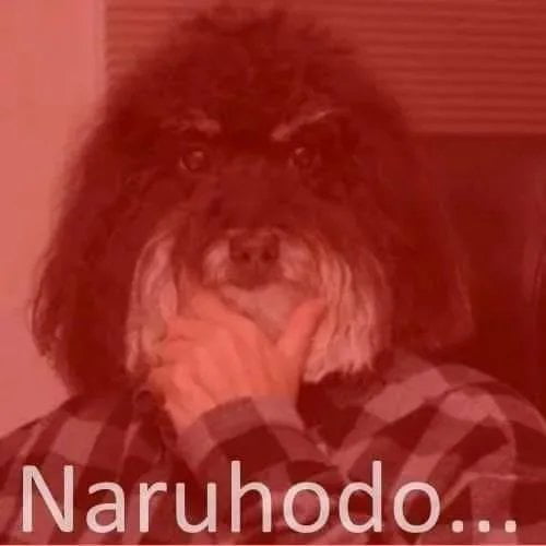 Meme Naruhodo Dog