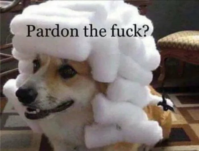 Meme Pardon the fuck? - Dog