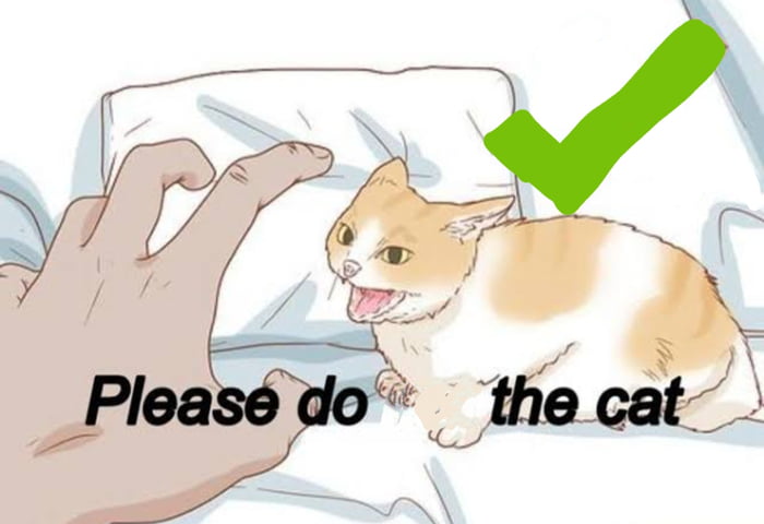 Meme please do the cat