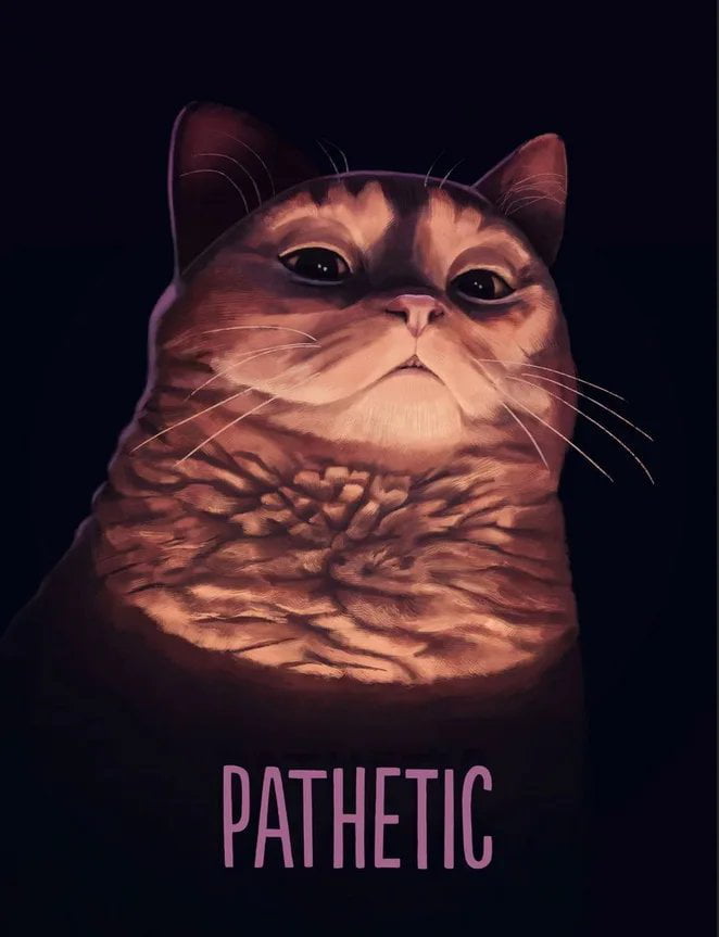 Meme pathetic cat