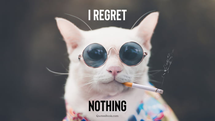 Meme I regret nothing - Cat