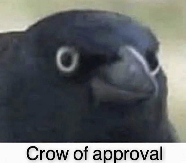 Meme crow of approval