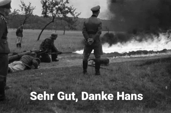 Meme Sehr Gut Danke Hans