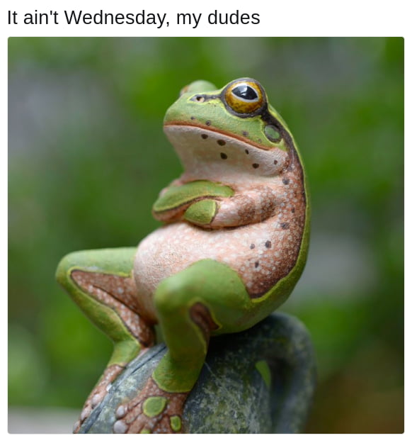 Meme It ain't wednesday, my dudes